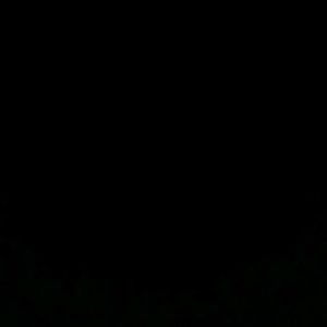 Meet your Posher, Sirena